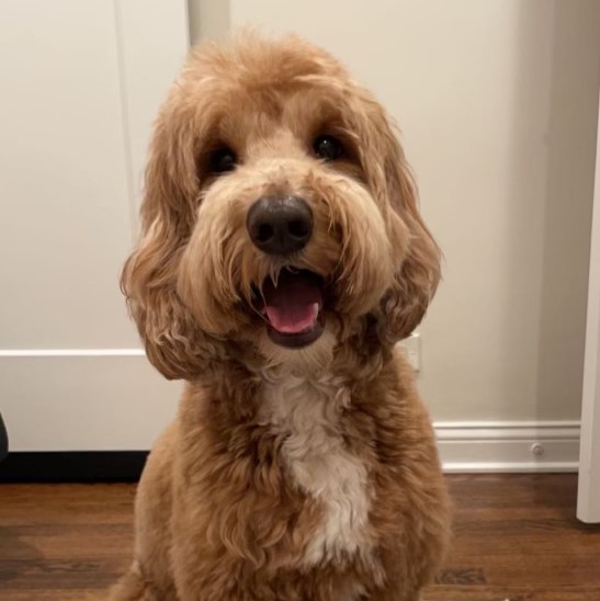 toby jaime's assistant